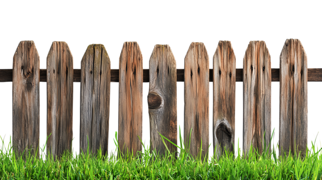 Wooden Fence in Serene Grassy Landscape with Nature View