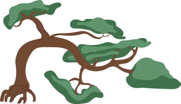Bonsai Tree Handdrawn