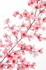 Naklejka premium Beautiful cherry blossom tree branch with blooming flower.