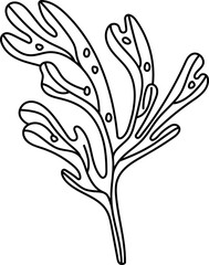 Doodle Seaweed Plant