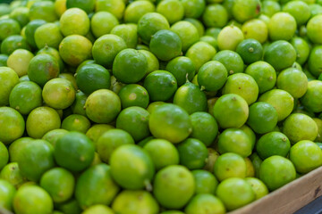 Fresh green lime fruit (citrus)