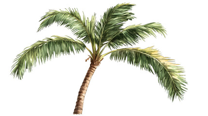 Fototapeta premium A palm tree with a long trunk and green leaves. The tree is the main focus of the image