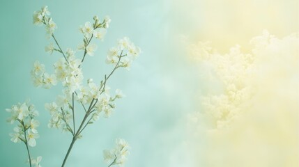 Soft pastel yellow and mint blend, light and airy with subtle cloud transitions