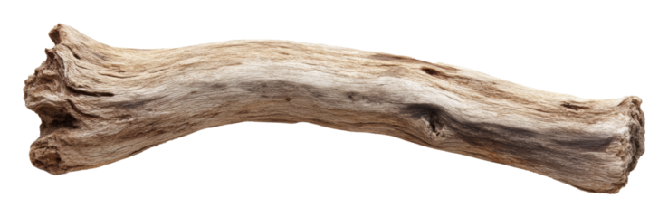 Weathered driftwood log isolated on transparent background, nature and decor concept