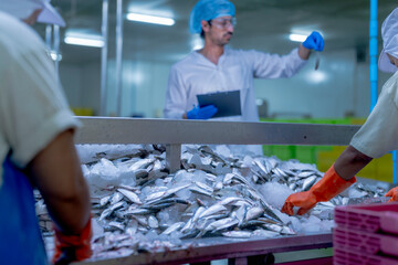 A supervisor in a food processing plant wearing protective gear, inspecting a fish while holding a...