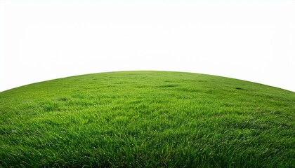 fresh green grass field isolated on background for montage product display png files