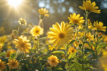 Obraz premium Vibrant Yellow Midday Scene with Flower Cast and Natural Sunlight