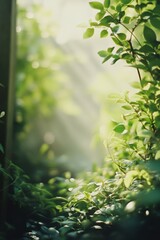 Obraz premium Fresh green theme featuring tree leaf Spring background.