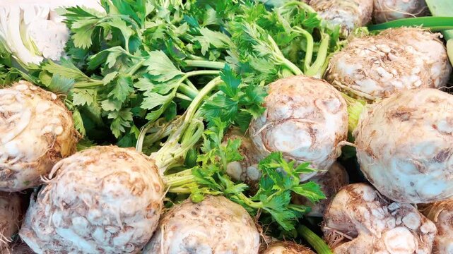 Raw artichokes on a supermarket counter. (4K video)