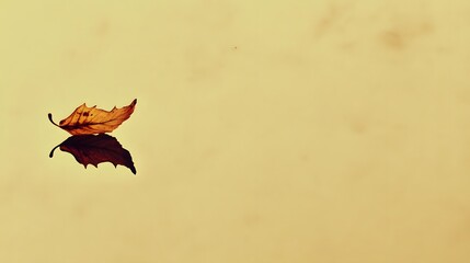 Fototapeta premium Solitary Autumn Leaf Floating on Calm Water, Minimalist Nature Photography