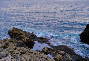 Casco Bay Maine Rocky ledge and tidal pool full of plants and seaweed