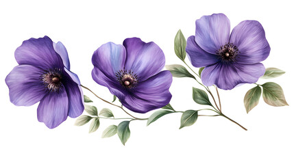 Three purple flowers are painted on a white background