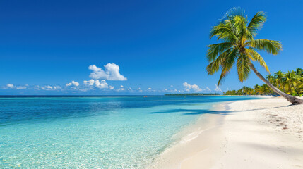 Naklejka premium Tropical beach scene featuring a lush palm tree framed against the clear blue sky and ocean waves
