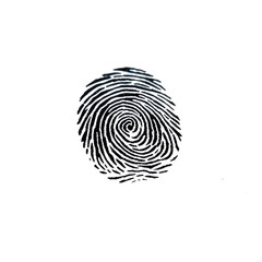 A close-up of a black fingerprint on a white background, emphasizing identity and securit