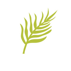 Retro Groovy Surf Club
