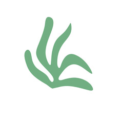 Retro Groovy Surf Club
