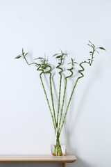 Beautiful green bamboo stems in vase on table near light wall