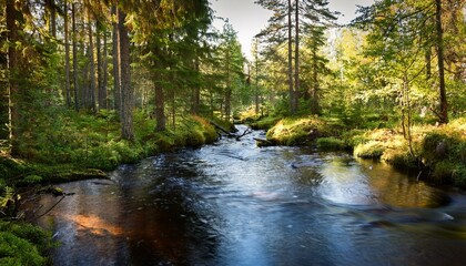 Obraz premium small flowing stream or river in a lush forest in tampere finland in the summer or autumn