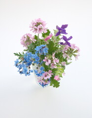 Bouquet of wild and garden flowers  - chinese forget-me-not, salvia, scented pelargonium,  on white background