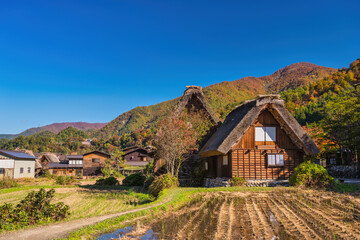 Shirakawago village Gifu Japan, Historical Japanese traditional Gassho house at Shirakawa village in autumn foliage season