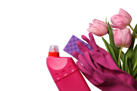 Spring cleaning, cleaning supplies and a bouquet of tulips in a plastic basket in hands isolated on a white background, with space for text, PNG
