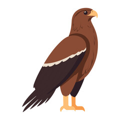 Fototapeta premium Flying eagle illustration bird art vector