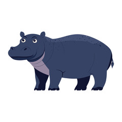 Obraz premium Hippopotamus illustration animal wildlife vector