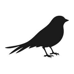 Obraz premium Bird silhouette illustration black white vector