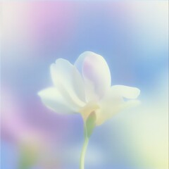 Obraz premium Delicate white flower in soft pastel hues