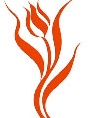 vector illustration of a fiery bird