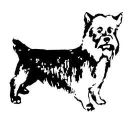 Terrier Dog, Vintage Style Vector Illustration