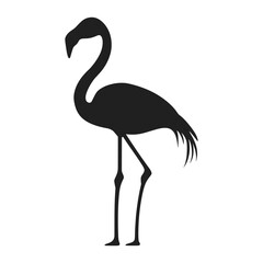 Obraz premium Falmingo silhouette illustration flamingo black vector