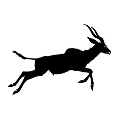 Fototapeta premium Kudu jumping silhouette illustration antelope wildlife vector