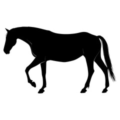 Fototapeta premium Horse walking silhouette illustration animal vector
