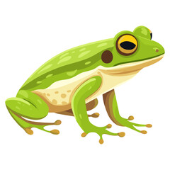 Fototapeta premium Frog frog illustration amphibian vector