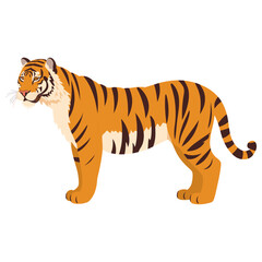 Obraz premium Tiger tiger illustration animal vector