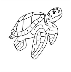 Turtle outline