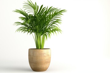 Obraz premium Lush Green Indoor Plant in Elegant Pot Against Neutral Background for Home Decor Inspiration