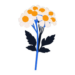 White yarrow flower green art illustration vector