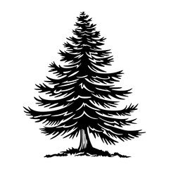 Obraz premium A pine tree illustration silhouette black vector