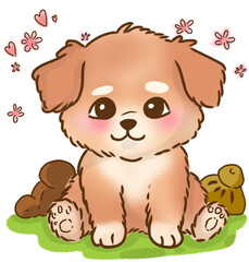 Beloved Pet