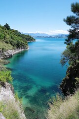 Coastal Fjord View, Emerald Water, Lush Trees