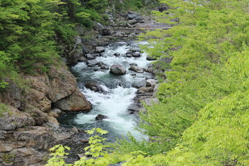 新緑の鬼怒川