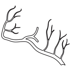 coronal brain vessels line icon