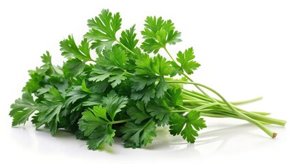 Obraz premium Fresh parsley herb with green leaves isolated on a white background