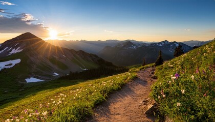 mt garfield summer trail at sunrise