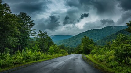 Scenic Mountain View: Road winding through lush green trees