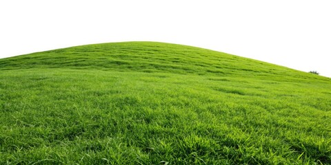 Obraz premium Lush Green Hills, Rolling Grass Landscape, Isolated Background, Nature Photography, Grassy Hills, Green Hills Background, Hilly Landscape