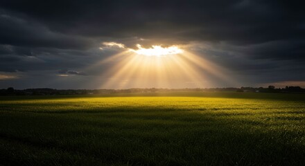 Heavenly Rays over Field: Dramatic scene of sun rays breaking through dark, ominous clouds, illuminating a field, creating a striking contrast of light and shadow.