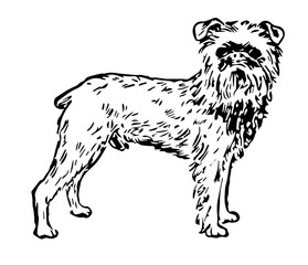 Griffon Dog, Vintage Style Vector Illustration